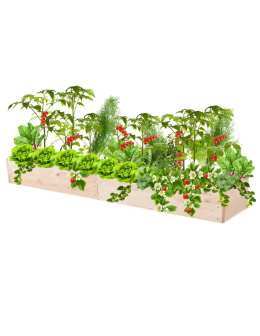 Skrzynia na warzywa skrzynie na warzywniak inspekt donica grządka 18x163x30 - product 2