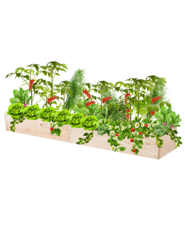 Skrzynia na warzywa skrzynie na warzywniak inspekt donica grządka 18x163x30 - product 2