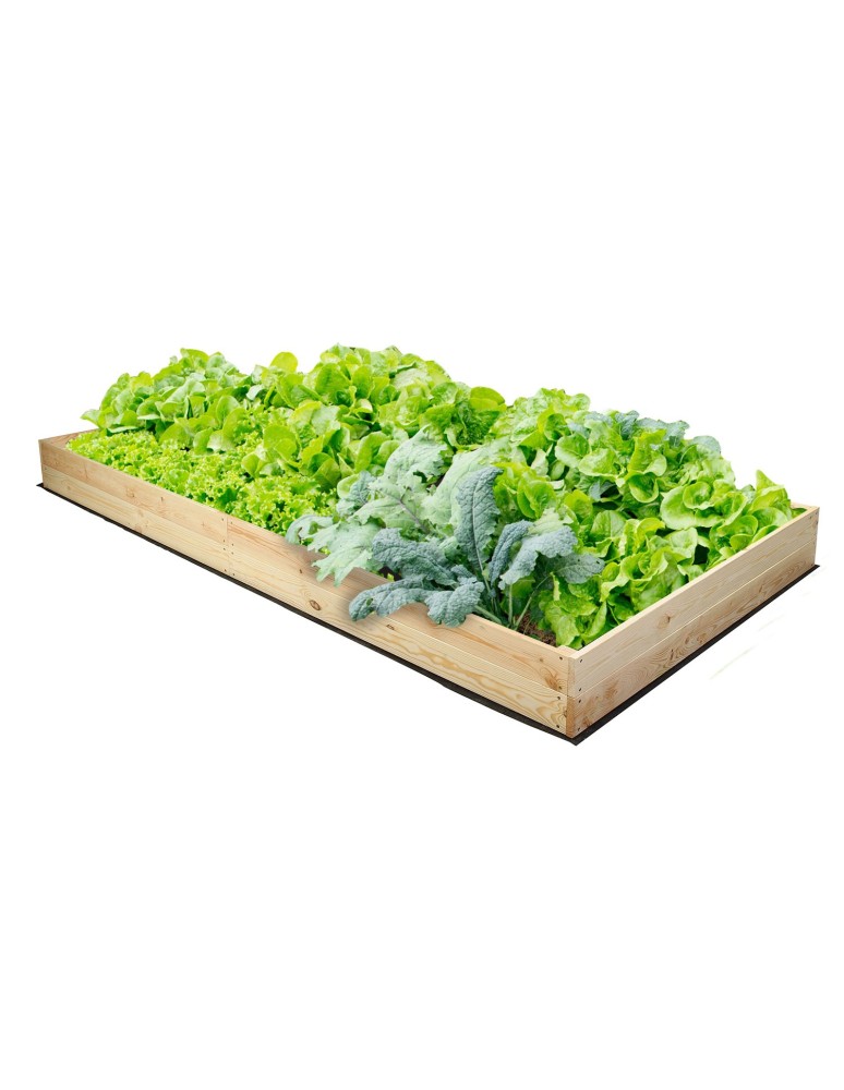 Uprawowe skrzynie ogrodowe- Warzywniaki- skrzynia do uprawy - Skrzynia na warzywa skrzynie na warzywniak inspekt donica grządka 18x163x117 - product b2b.wamar.biz 2