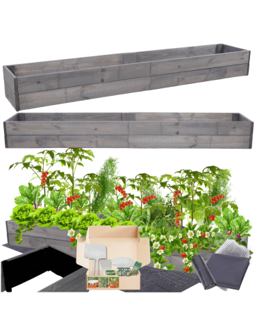 Skrzynia na warzywa skrzynie na warzywniak inspekt donica grządka 18x237x30