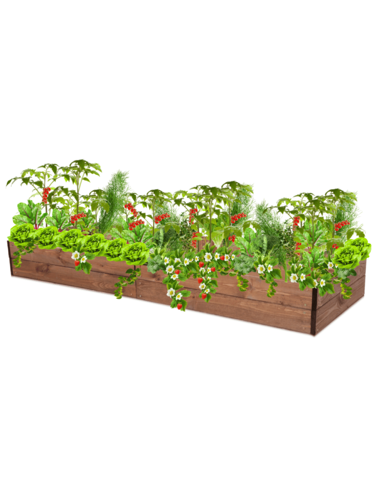 Uprawowe skrzynie ogrodowe- Warzywniaki- skrzynia do uprawy - Skrzynia na warzywa skrzynie na warzywniak inspekt donica grządka 18x237x60 - product b2b.wamar.biz 2