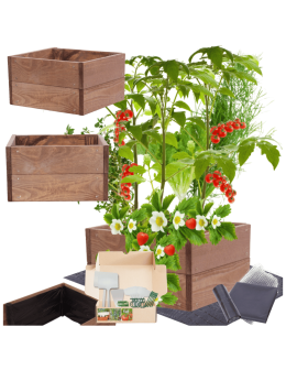 Skrzynia na warzywa skrzynie na warzywniak inspekt donica grządka 18x30x30