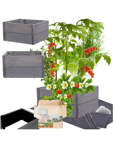 Skrzynia na warzywa skrzynie na warzywniak inspekt donica grządka 18x30x30