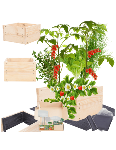 Skrzynia na warzywa skrzynie na warzywniak inspekt donica grządka 18x30x30