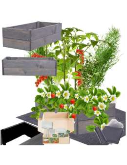 Skrzynia na warzywa skrzynie na warzywniak inspekt donica grządka 18x60x30