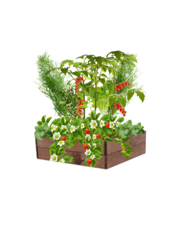 Skrzynia na warzywa skrzynie na warzywniak inspekt donica grządka 18x90x60 - product 2