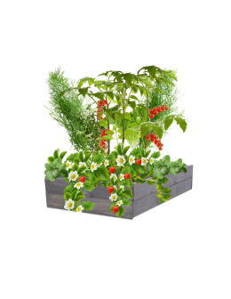 Skrzynia na warzywa skrzynie na warzywniak inspekt donica grządka 18x90x90 - product 2