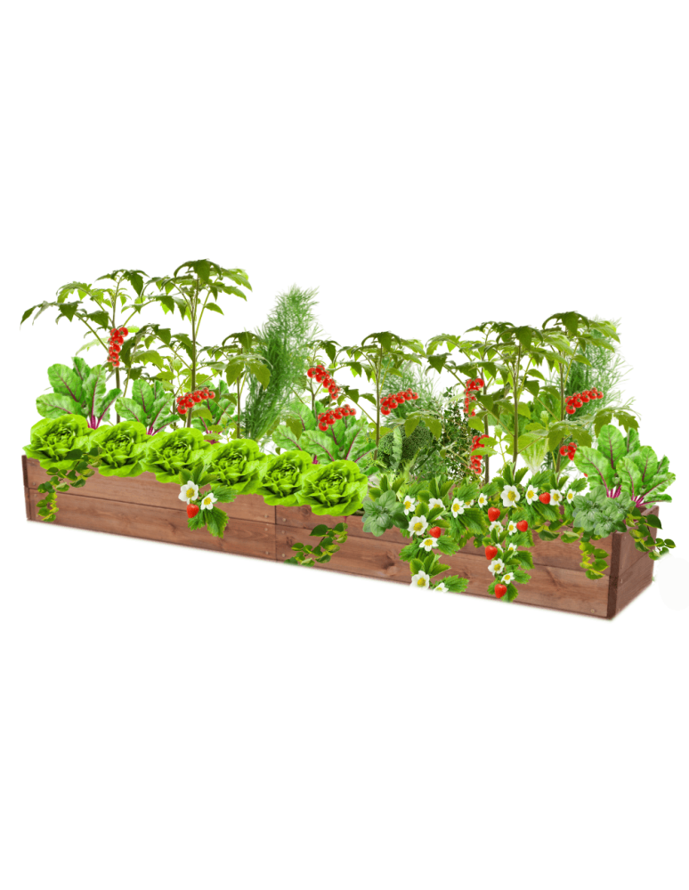 Uprawowe skrzynie ogrodowe- Warzywniaki- skrzynia do uprawy - Skrzynia na warzywa skrzynie na warzywniak inspekt donica grządka 18x200x30 - product b2b.wamar.biz 2