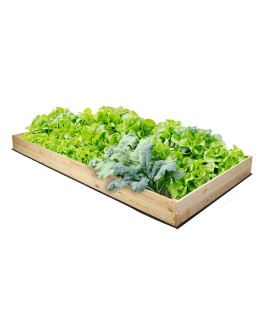 Skrzynia na warzywa skrzynie na warzywniak inspekt donica grządka 18x200x100 - product 2