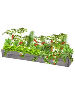 Skrzynia na warzywa skrzynie na warzywniak inspekt donica grządka 18x240x30 - product 2