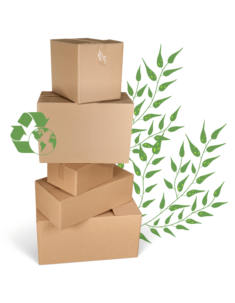 Skrzynki na owoce (skrzynki do warzyw) - Skrzynka na warzywa owoce skrzynki DREWNIANE DNO 69x30 cm skrzyneczka EKO - product b2b.wamar.biz 6