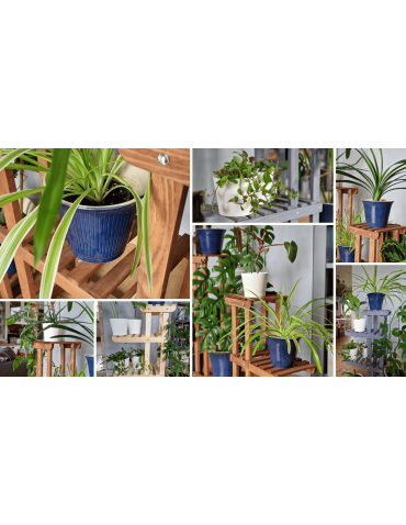 Kwietniki - Stojący kwietnik drewniany na kwiaty regał stojak wielopoziomowy SOLIDNY - product 7