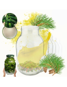 Słoiki 3000ml 3l soki ogórki kiszone grzyby nalewki 10kpl zakrętki 100mm PZH