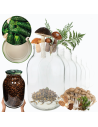 Słoiki 4000ml 4l soki ogórki cukinia grzyby nalewki 10kpl zakrętki 100mm PZH