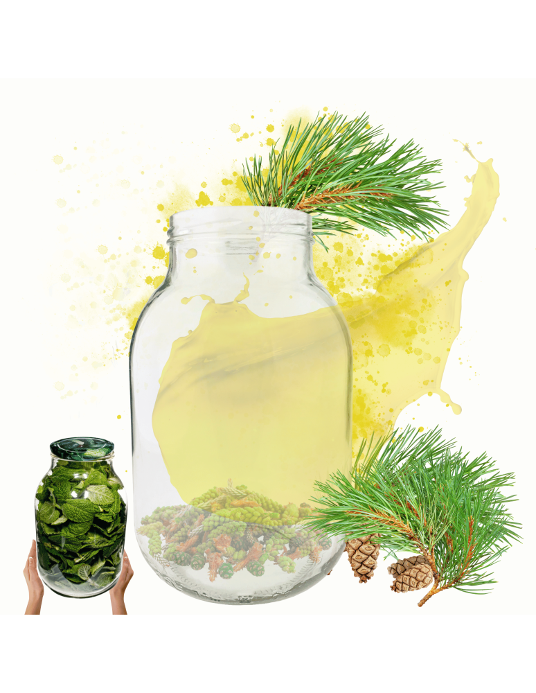Słoiki - Słoik 3000ml 3l soki ogórki kiszone grzyby nalewki 1 sztuka 100mm - product b2b.wamar.biz 1