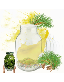 Słoiki 3000ml 3l soki ogórki kiszone grzyby nalewki 6sztuk 100mm