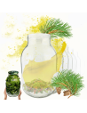 Słoiki 3000ml 3l soki ogórki kiszone grzyby nalewki 6sztuk 100mm