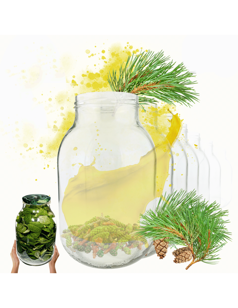 Słoiki - Słoiki 3000ml 3l soki ogórki kiszone grzyby nalewki 10sztuk 100mm PZH - product b2b.wamar.biz 1