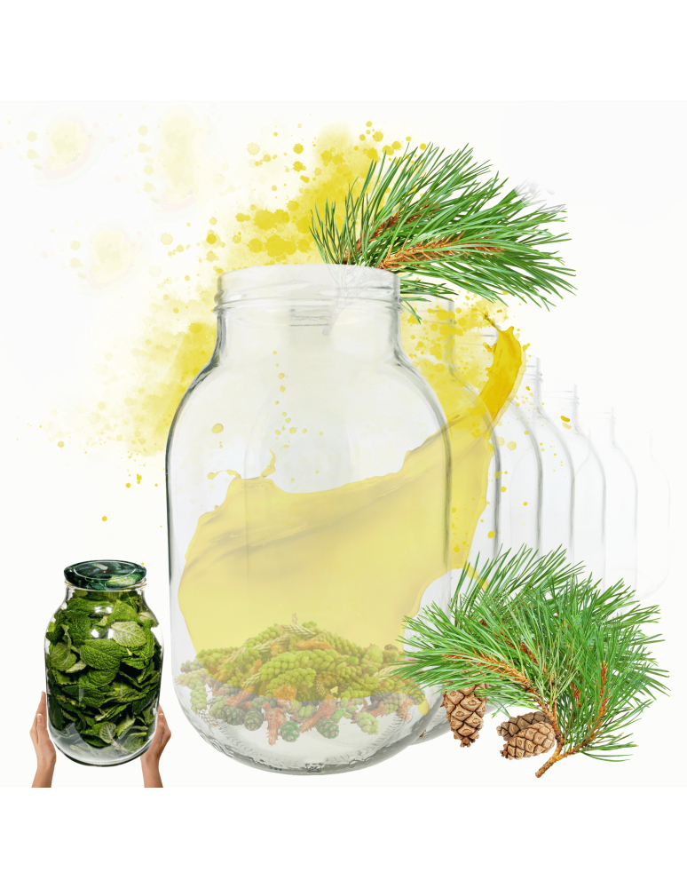 Słoiki - Słoiki 3000ml 3l soki ogórki kiszone grzyby nalewki 30sztuk 100mm PZH - product b2b.wamar.biz 1