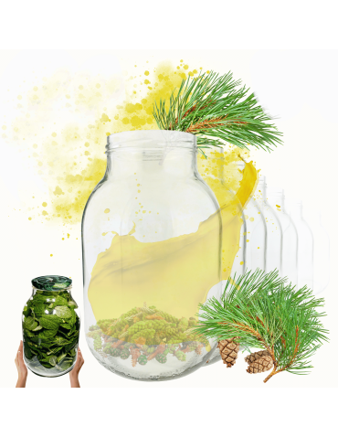 Słoiki 3000ml 3l soki ogórki kiszone grzyby nalewki 60sztuk 100mm PZH