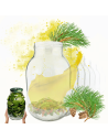 Słoiki 3000ml 3l soki ogórki kiszone grzyby nalewki 60sztuk 100mm PZH