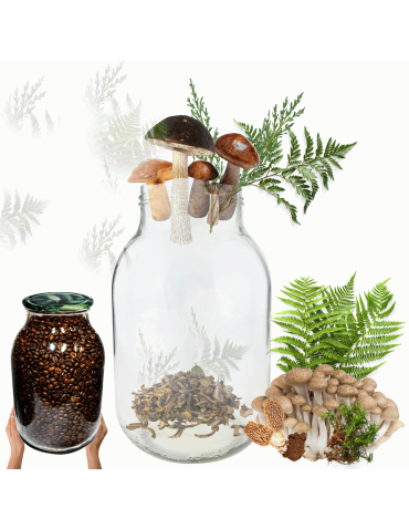 Słoik 4000ml 4l soki ogórki cukinia grzyby nalewki 1 sztuka 100mm