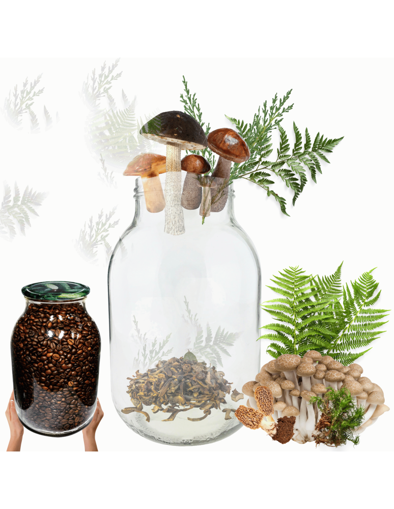 Słoiki - Słoik 4000ml 4l soki ogórki cukinia grzyby nalewki 1 sztuka 100mm - product b2b.wamar.biz 1