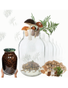 Słoiki 4000ml 4l soki ogórki cukinia grzyby nalewki 6sztuk 100mm
