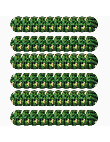 Pokrywki dekielki zakrętki nakrętki wieczka wieka 100mm 60 szt WZÓR O PZH - product 2