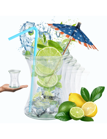 Słoiki Weck 370ml słoiki szklane ozdobne DELI na deserki pucharki 6szt