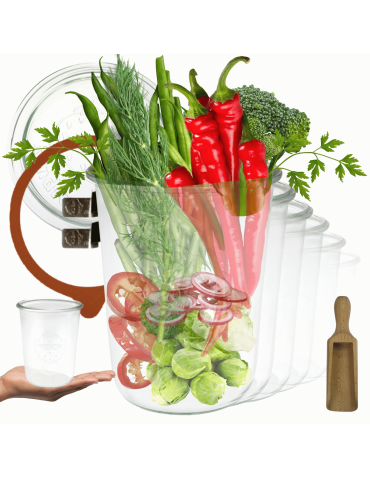 Słoiki Weck 850ml MOLD żaroodporne miara spinki wieko gumka 12szt