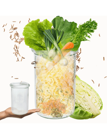 Słoik Weck 1l słoik szklany pojemnik MOLD słoik na przetwory 1szt 1050