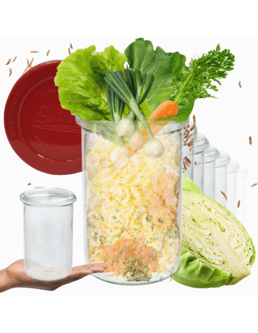 Słoiki Weck 1l plyny MOLD szczelne silikonowe wieka 12szt 1050