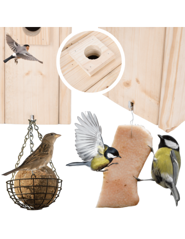 Budki Lęgowe - Budka lęgowa dla ptaków domek domki hotel MAZUREK MUCHOŁÓWKA wlot 3,2 cm - product 9