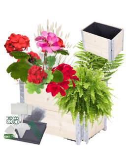 Skrzynia na warzywa impregnowana skrzynie na warzywniak inspekt 40X60X40