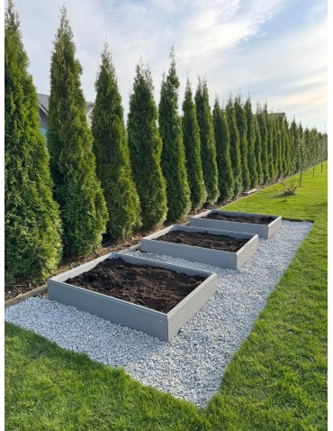 Warzywnik z tworzywa sztucznego - Skrzynia na warzywa plastikowa grządka warzywnik 20x180x120 warzywniak PCV - product 12