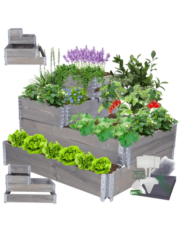 Skrzynia na warzywa DONICA GRZĄDKA skrzynie na warzywnik inspekt 60X120X100