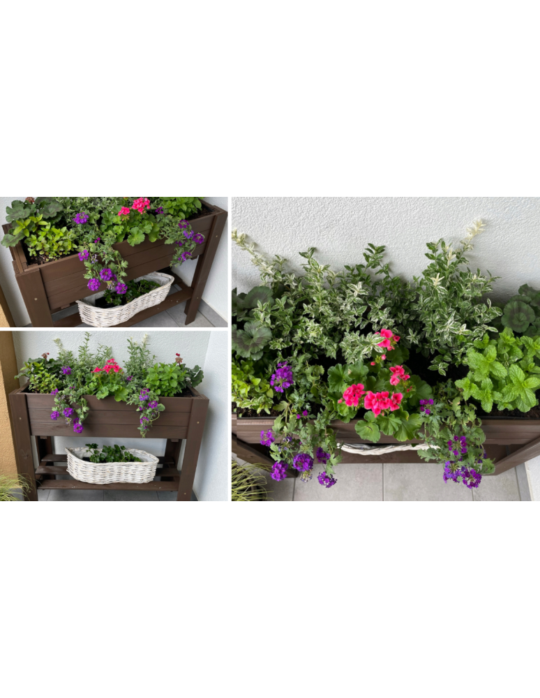 ZE1 - Ziołownik zielnik na nogach donica grządka warzywnik 80x34cm IMPREGNAT eko - product b2b.wamar.biz 9