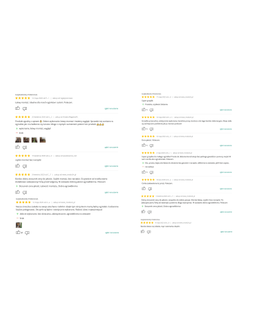 ZP05 - Skrzynia na warzywa zioła grządka podwyższona donica inspekt120x80cm ECO - product 12