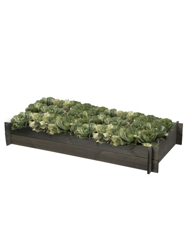 Skrzynia na warzywa zioła grządka podwyższona donica inspekt 150x80cm ECO - produkt 2