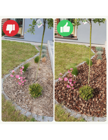 Surowce organiczne - SZYSZKI DO OGRODU  na RABATY ŚCIÓŁKĘ GRZĄDKI DEKORACJE eko 14KG 70L 2100SZT - product 3