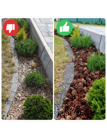 Surowce organiczne - SZYSZKI DO OGRODU  na RABATY ŚCIÓŁKĘ GRZĄDKI DEKORACJE eko 14KG 70L 2100SZT - product 4