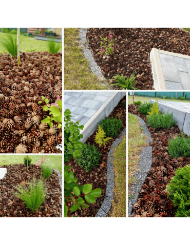 Surowce organiczne - SZYSZKI DO OGRODU  na RABATY ŚCIÓŁKĘ GRZĄDKI DEKORACJE eko 14KG 70L 2100SZT - product 5