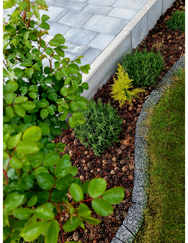 Surowce organiczne - SZYSZKI DO OGRODU  na RABATY ŚCIÓŁKĘ GRZĄDKI DEKORACJE eko 25KG 120L 3700SZT - product b2b.wamar.biz 7