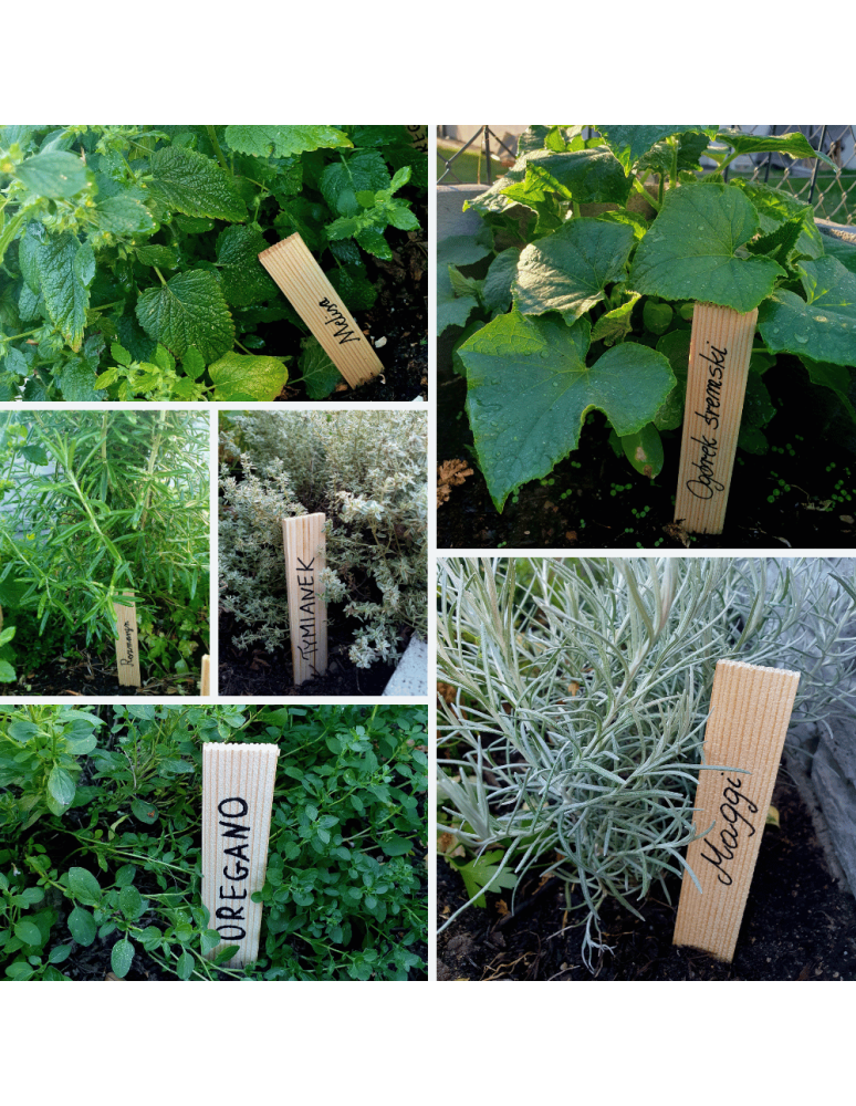 Super Zestaw Ogrodnika - Klin kliny do płytek kliny montażowe drewniane tabliczki do roślin 12 SZT - product b2b.wamar.biz 8