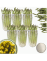 Słoiki 720ml dżemy konfitury przeciery salatki 6sztuk 82mm