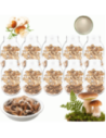 Słoiki 3000ml 3l na ogórki soki suszone grzyby nalewki 10sztuk 100mm PZH
