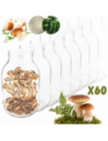 Słoiki 3000ml 3l soki ogórki kiszone grzyby nalewki 60kpl zakrętki 100mm PZH