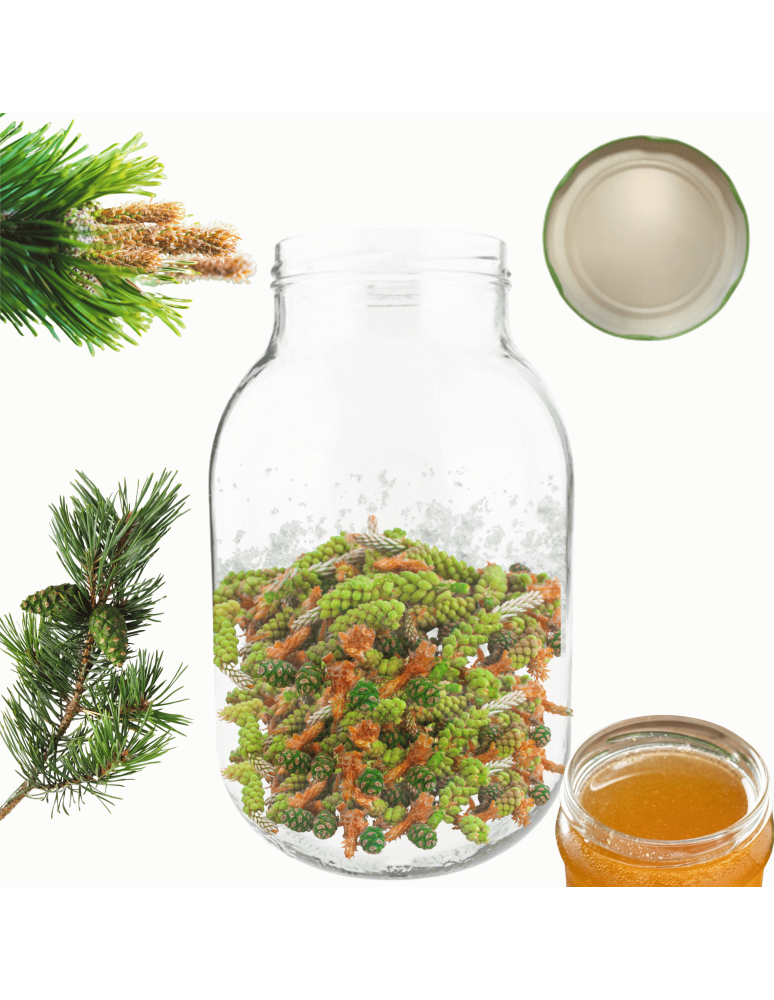 Słoiki - Słoik 4000ml 4l na ogórki soki cukinia suszone grzyby nalewki 1 sztuka 100mm - product b2b.wamar.biz 1