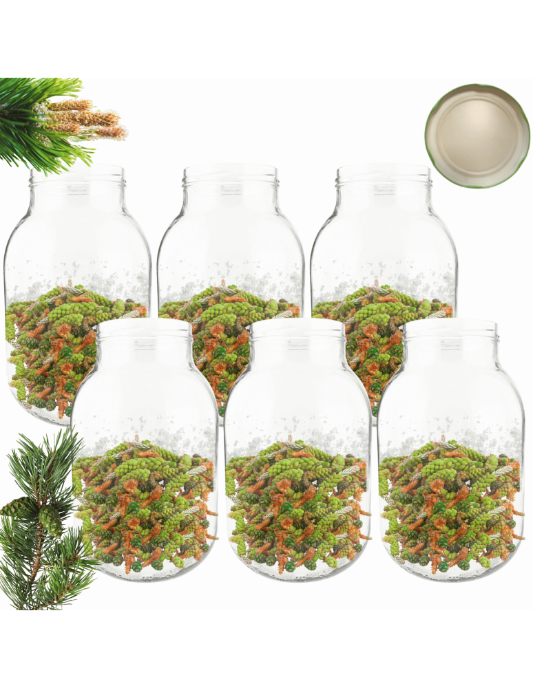 Słoiki - Słoiki 4000ml 4l soki ogórki cukinia grzyby nalewki 6sztuk 100mm - produkt b2b.wamar.biz 1